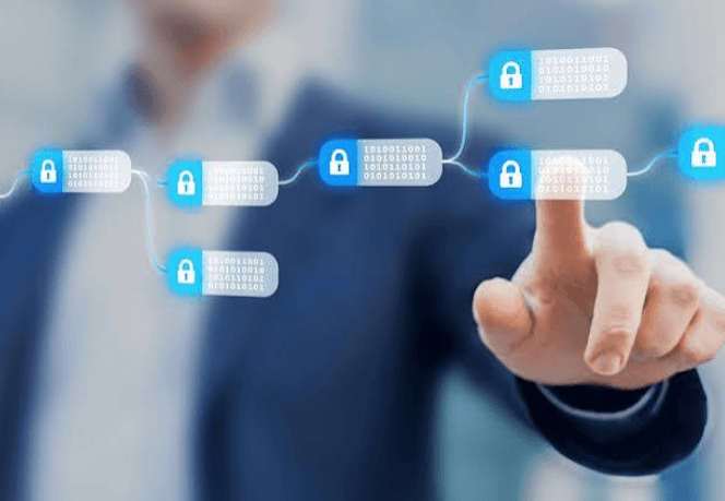 How Developers Contribute to Blockchain Projects